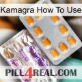 Kamagra How To Use new12